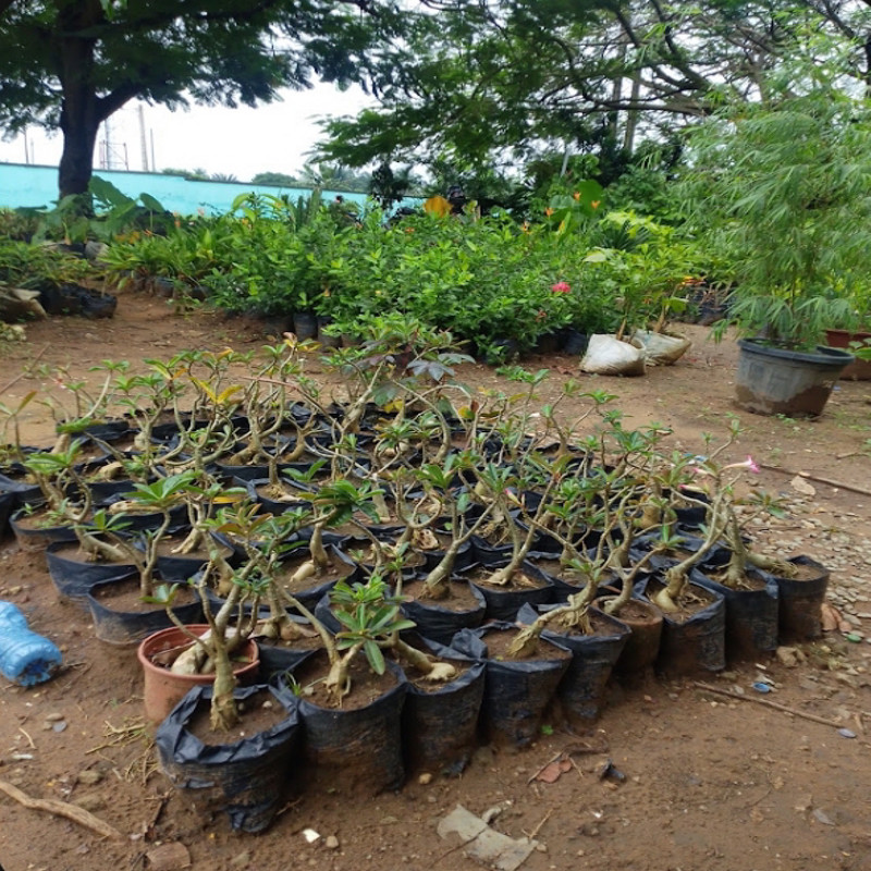 Photo de l'entreprise Good garden