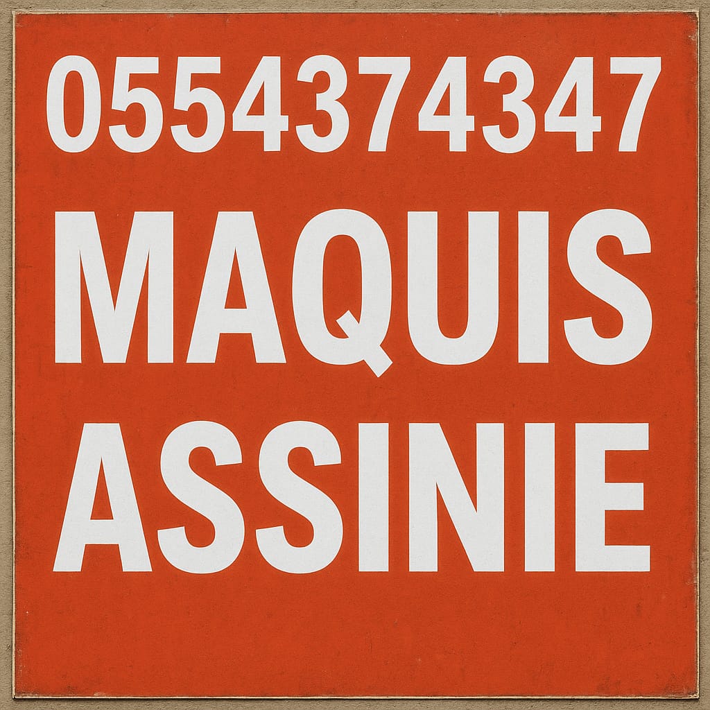 Avatar de ASSINIE ESPACE