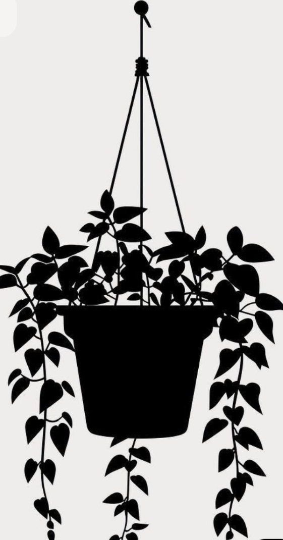 Avatar de Orchidées banafos