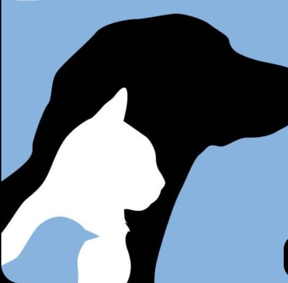 Avatar de Caniland pet center