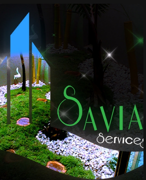 Photo de l'entreprise Savia services