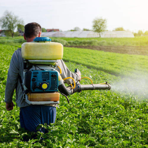 Avatar de Seidou insecticides