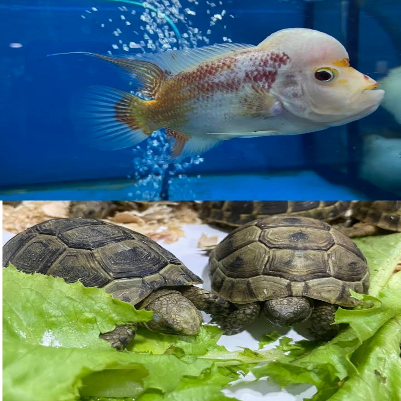 Photo de l'entreprise Aqualand