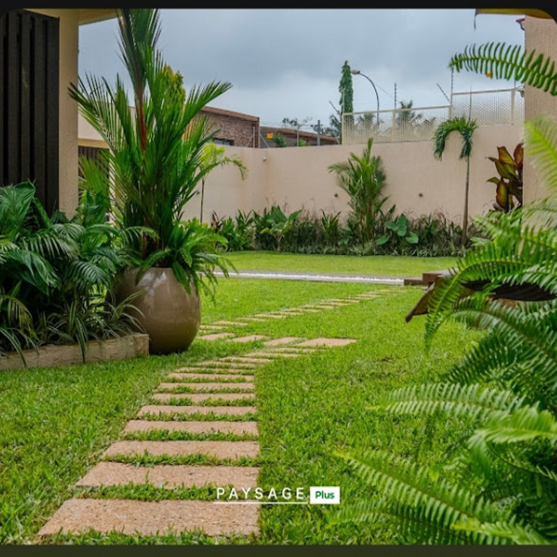 Photo de l'entreprise Paysage plus