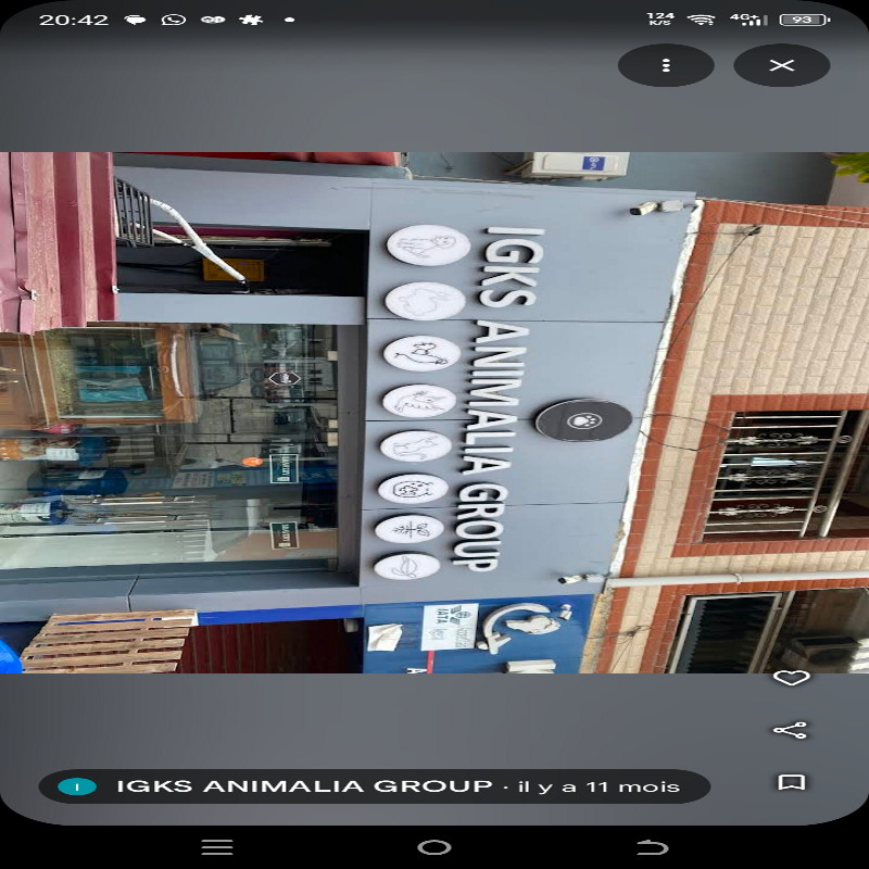 Photo de l'entreprise IGKS animalia group