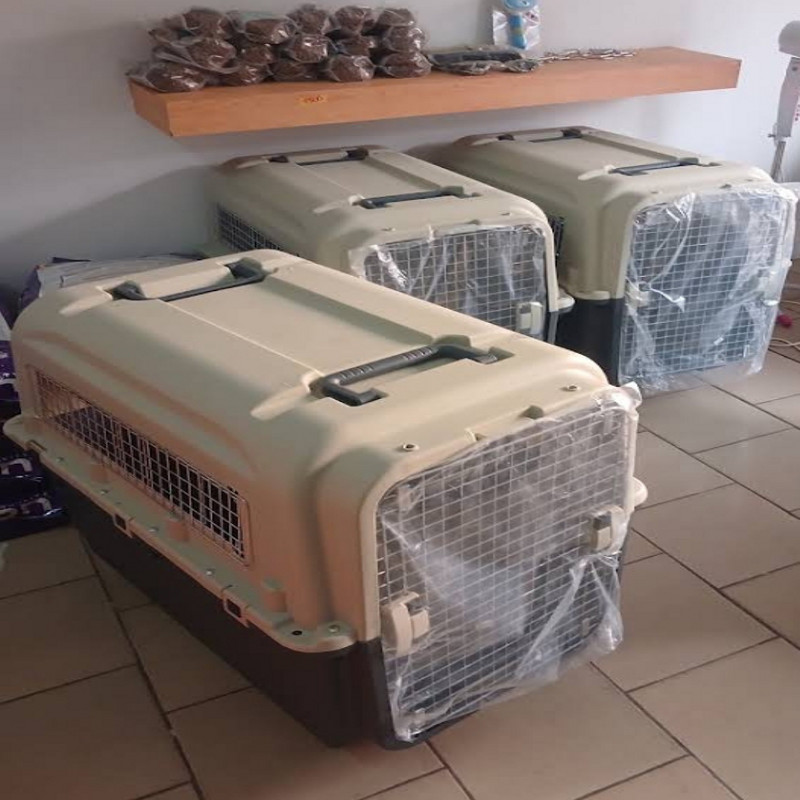 Photo de l'entreprise Dream dog 225