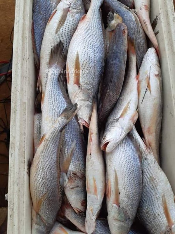 Photo de l'entreprise Poissonnerie Inter Prestige