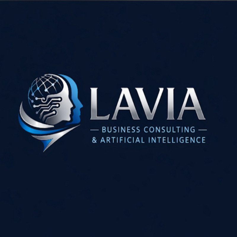 Photo de l'entreprise Lavia conseil